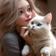 Cllan_li